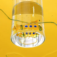 balvi-kitchen-atlantis-bouteille-sous-marin-jaune-verre image 5