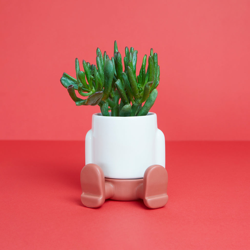 balvi-home-decor-mr-sitty-mini-cache-pot-c-ramique-rouge image 2
