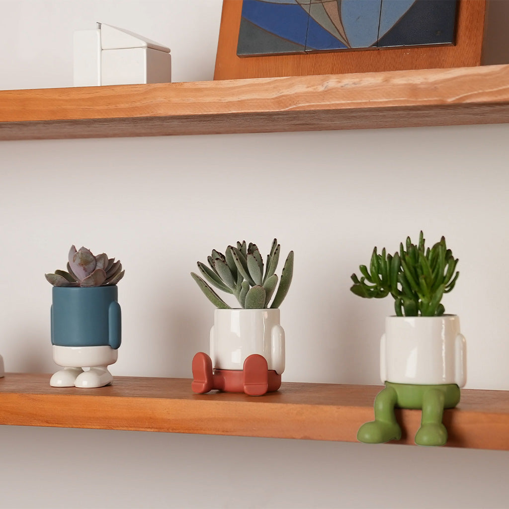balvi-home-decor-mr-sitty-mini-cache-pot-c-ramique-rouge image 3