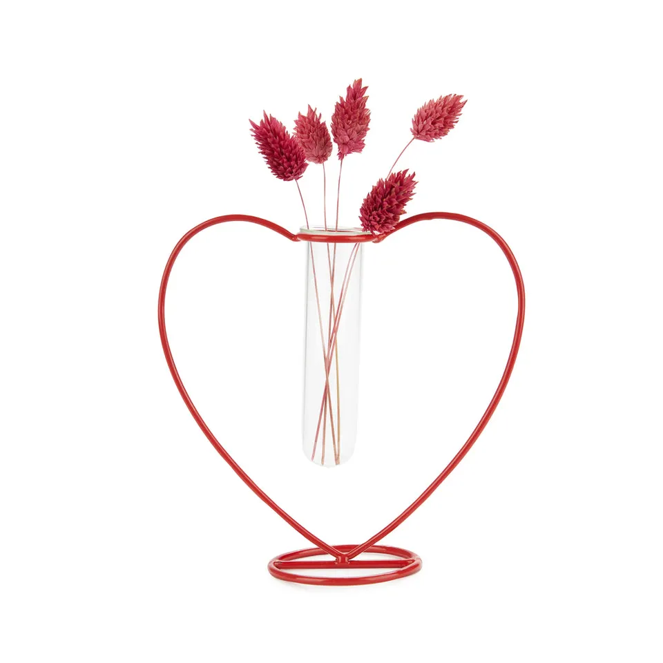 balvi-love-silhouette-vase-c-ur-rouge-tube-verre image 1