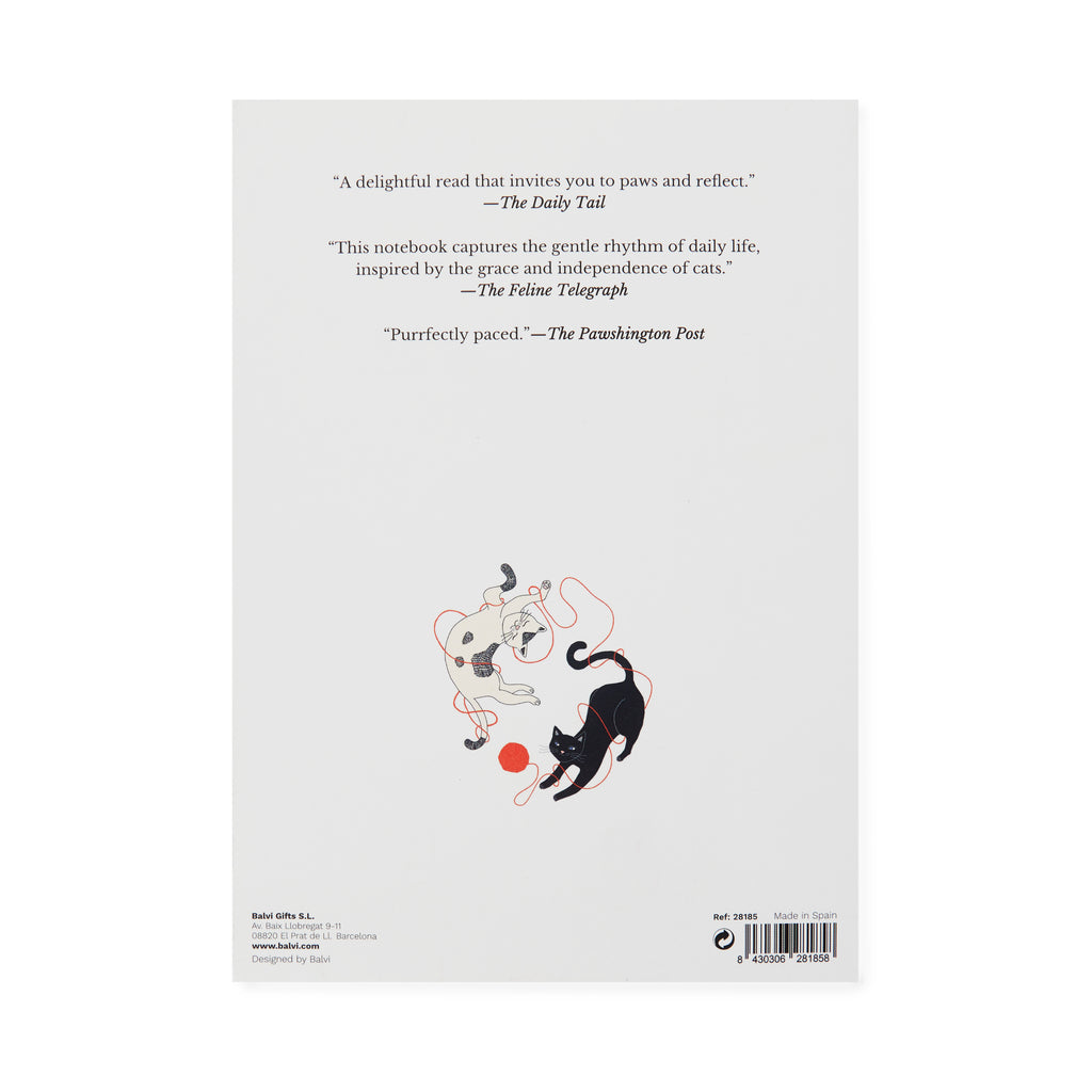balvi-desk-the-cat-diaries-carnet-chat-multicolore image 5