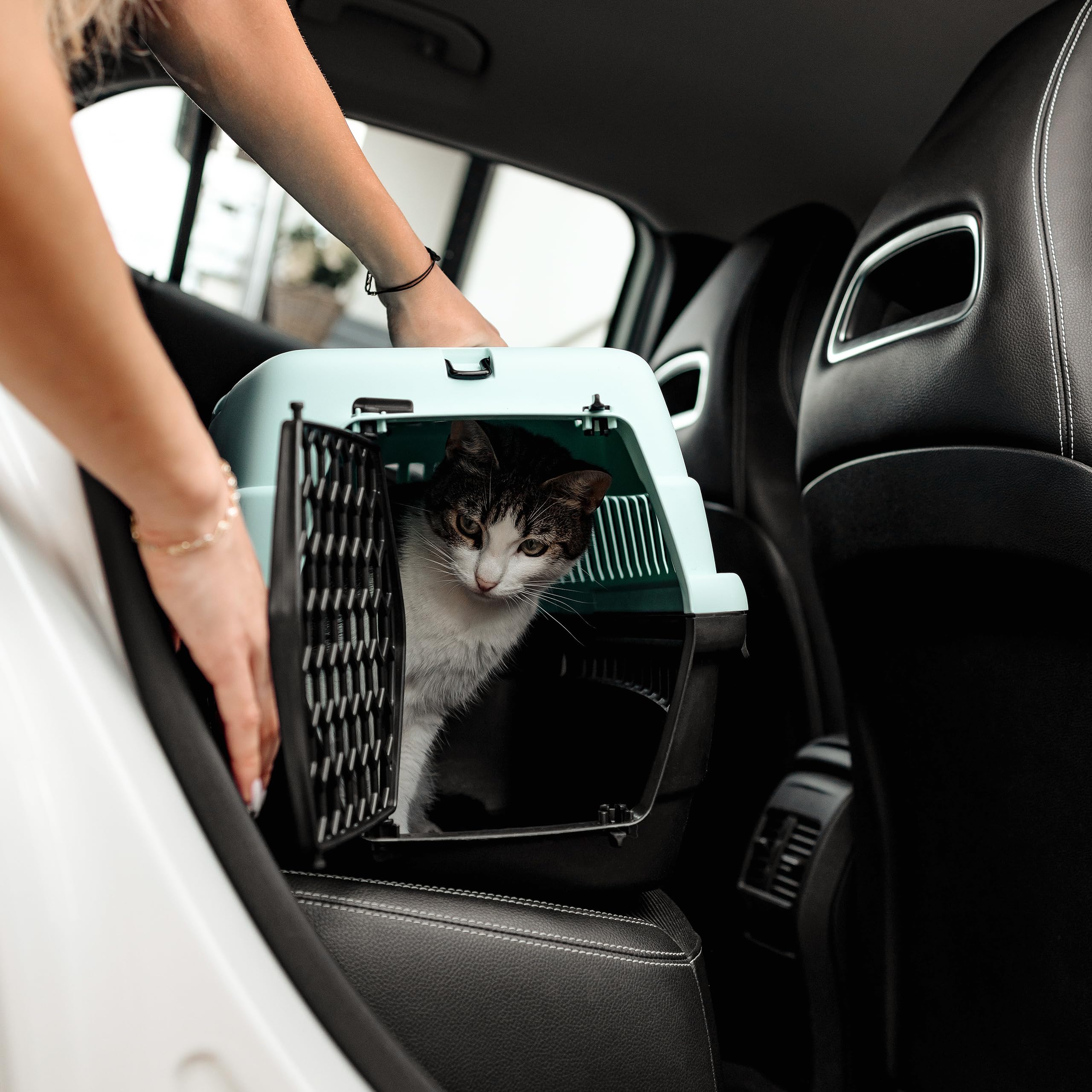 creative-home-accessoires-animaux-panier-transport-chat-50x33x33-cm-plastique image 4