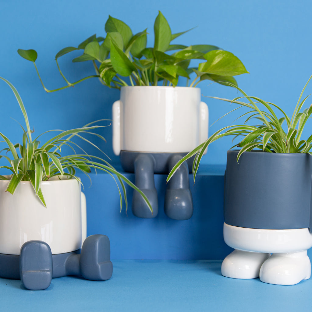 balvi-home-decor-mr-standy-cache-pot-c-ramique-bleu-avec-pieds image 8