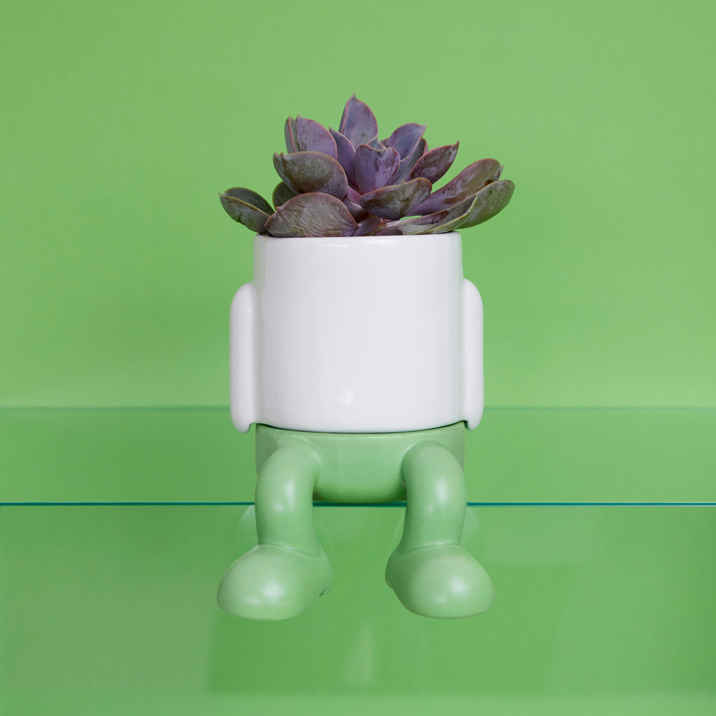 balvi-mr-dangly-mini-pot-plante-c-ramique-vert-jambes image 2