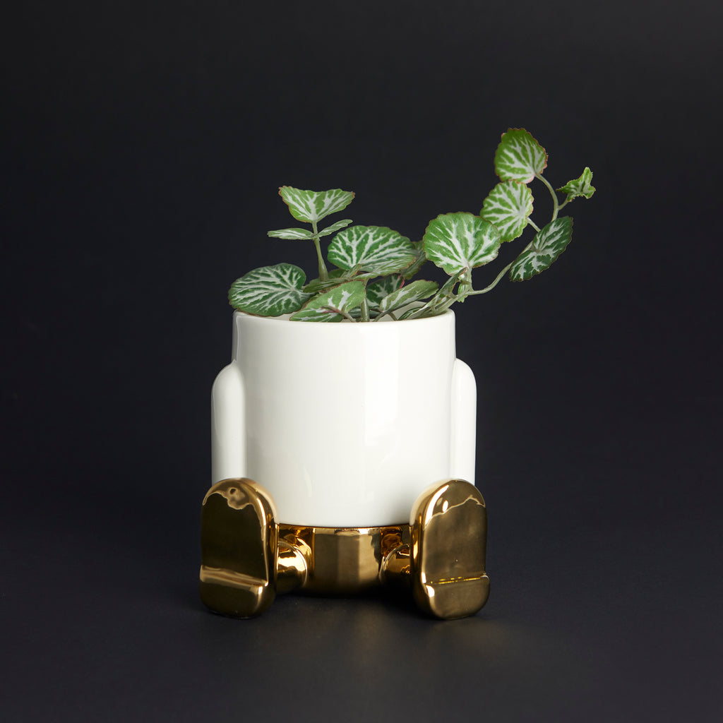balvi-home-decor-mr-sitty-mini-cache-pot-c-ramique-rouge image 8