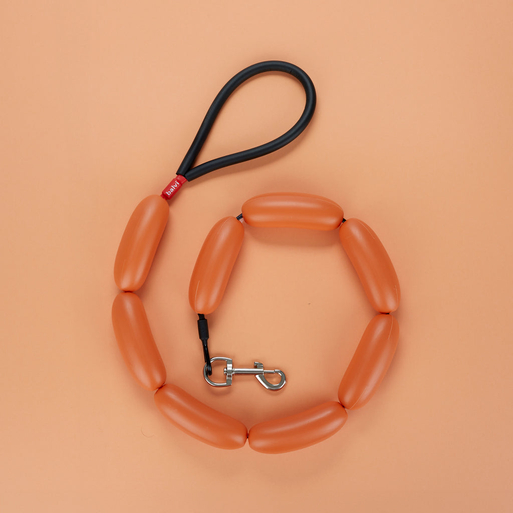 balvi-lifestyle-hot-dog-laisse-chien-orange image 3