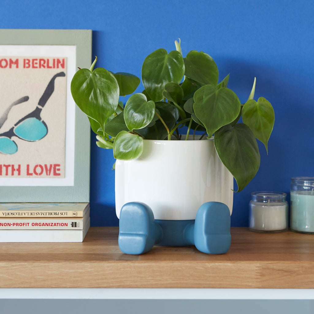 balvi-home-decor-mr-sitty-pot-plante-c-ramique-bleu image 7