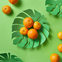 balvi-kitchen-monstera-corbeille-fruits-feuille-verte image 2