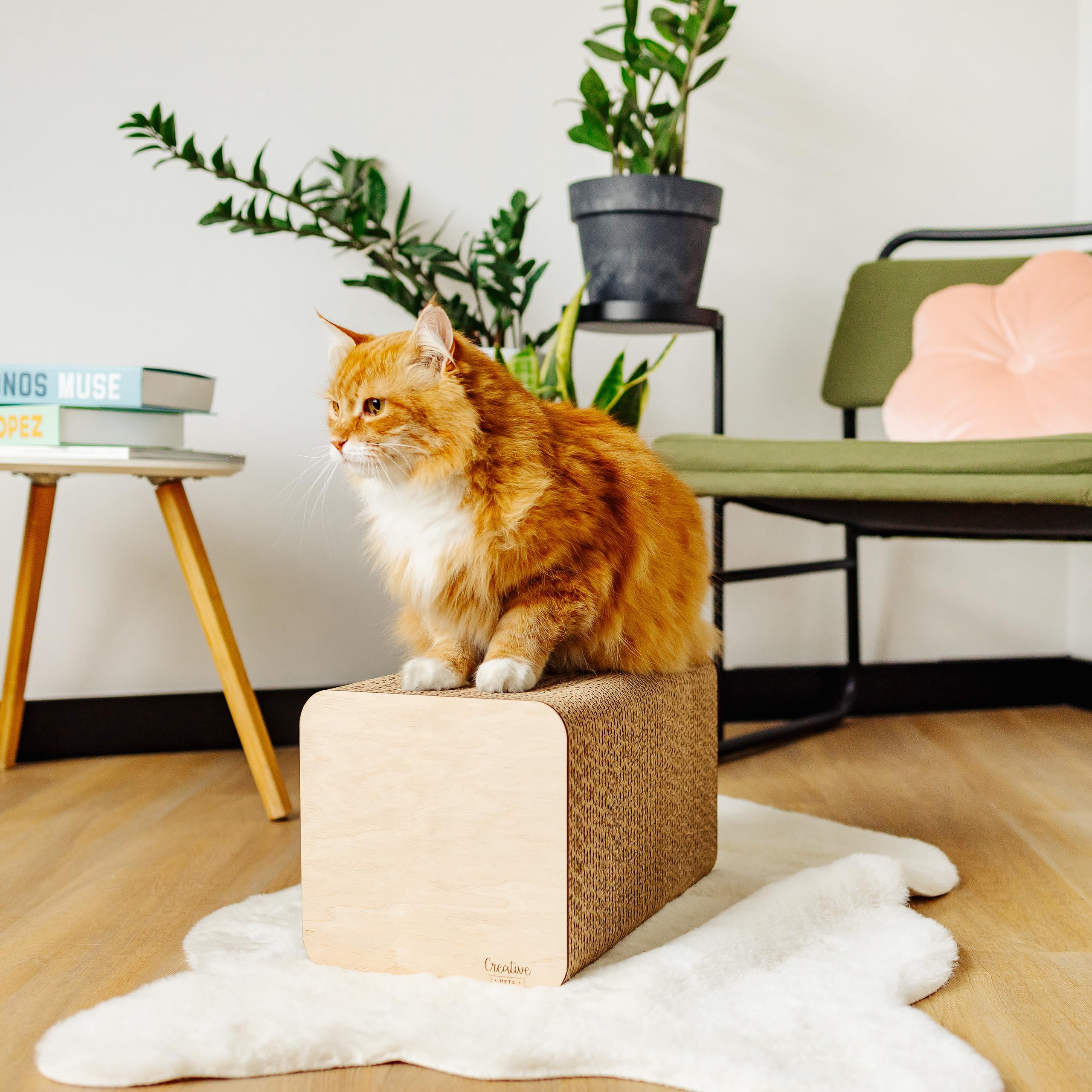 creative-home-griffoir-chat-carton-rectangulaire-37x21x21-cm image 4