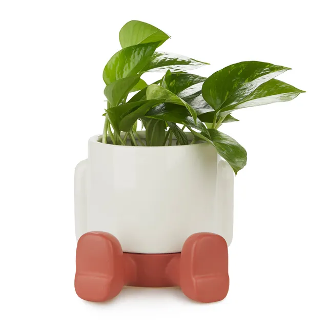 balvi-home-decor-mr-sitty-pot-plante-c-ramique-bleu image 1