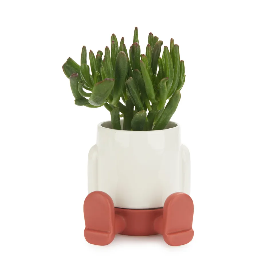 balvi-home-decor-mr-sitty-mini-cache-pot-c-ramique-rouge image 1