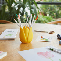 balvi-desk-tulip-pot-crayons-tulipe-couleur image 8