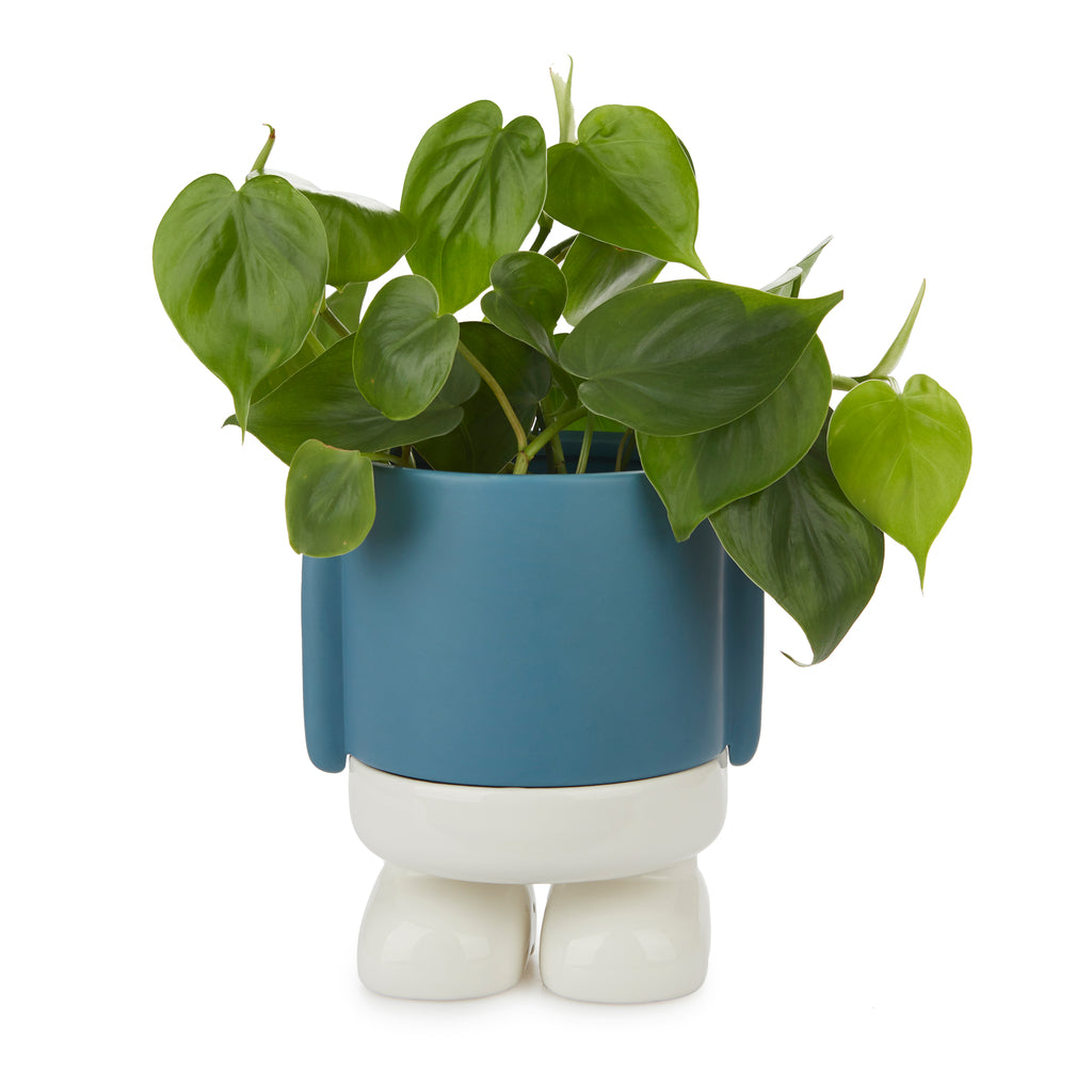 balvi-home-decor-mr-standy-cache-pot-c-ramique-bleu-avec-pieds image 7