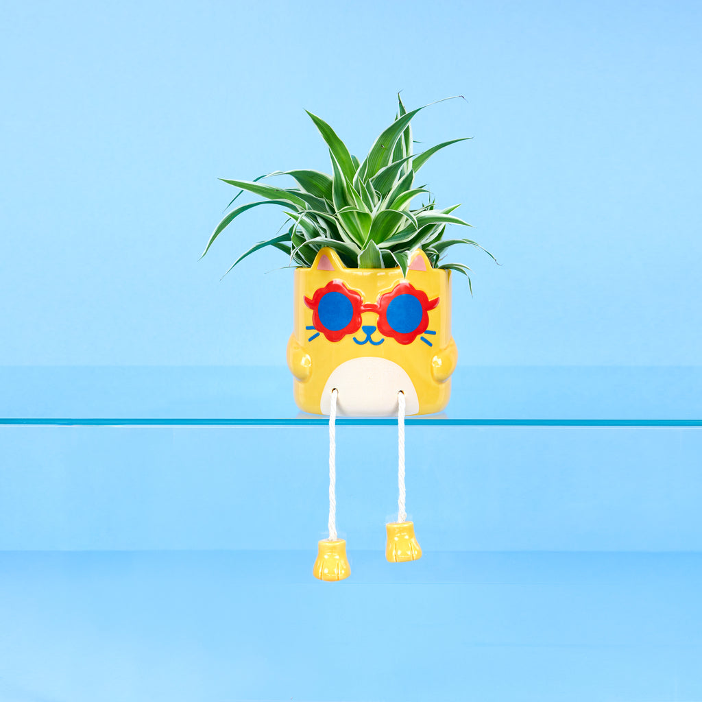 balvi-cool-cat-pot-plante-chat-jaune-c-ramique image 2