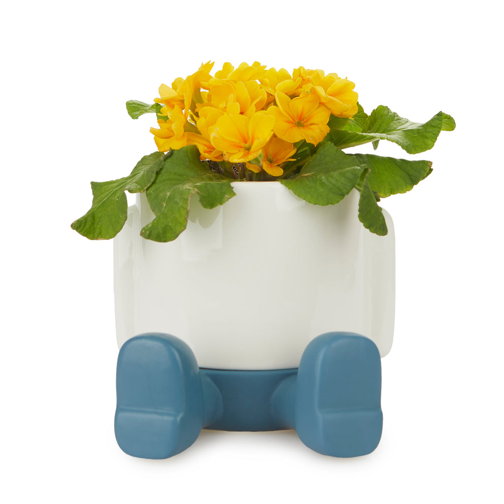balvi-home-decor-mr-sitty-pot-plante-c-ramique-bleu image 6