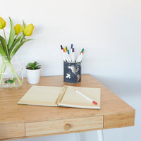 balvi-desk-globe-pot-crayons-globe-terrestre image 2