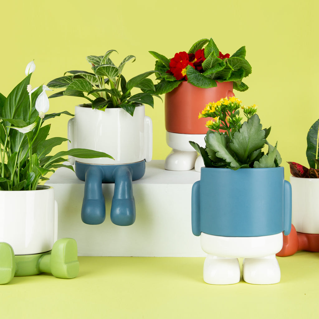 balvi-home-decor-mr-standy-cache-pot-c-ramique-bleu-avec-pieds image 2
